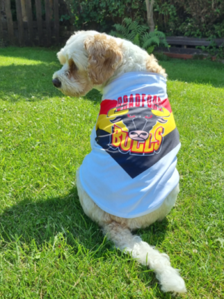 Dog – Bradford Bulls Store